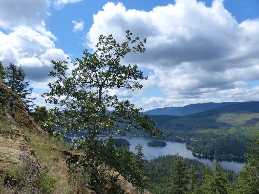 Old Baldy Mtn | 2329 Strathcona Heights Road, Shawnigan Lake, BC V0R 2W2, Canada