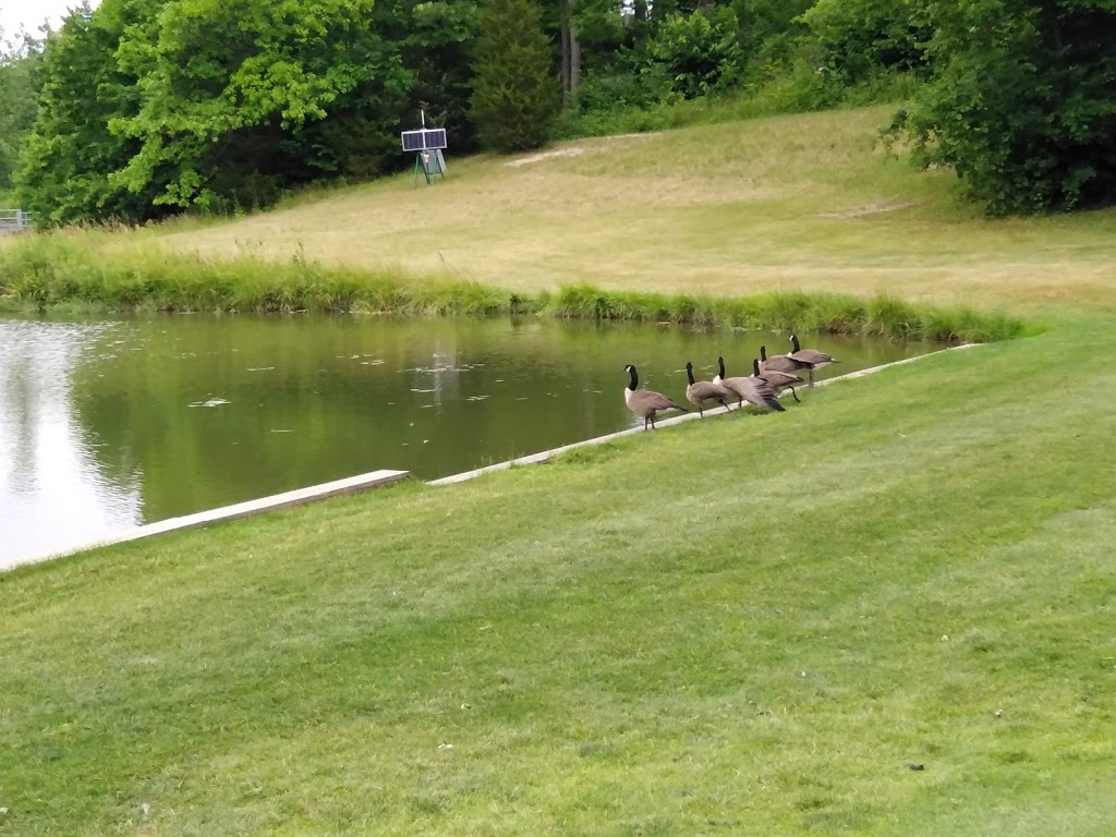 Indian Hills Golf Club | 6991 Lakeshore Rd, Lambton Shores, ON N0N 1J2, Canada | Phone: (519) 786-5505