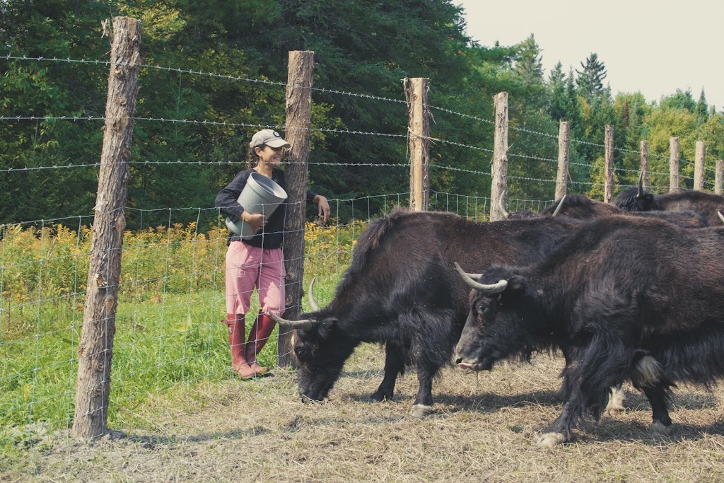 Ferme Pure Conscience | 57 Chem. Ragged Chute, Bristol, QC J0X 1G0, Canada | Phone: (873) 822-1251