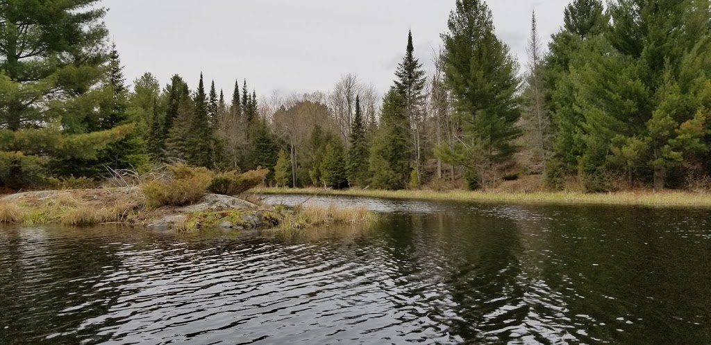 Addington Highlands Township | 72 Edward St, Flinton, ON K0H 1P0, Canada | Phone: (613) 336-2286