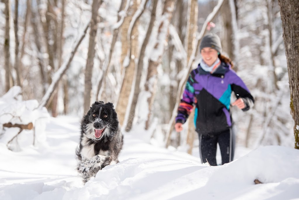 Région LIslet | 34 Rue Fortin, Saint-Jean-Port-Joli, QC G0R 3G0, Canada | Phone: (418) 598-3076