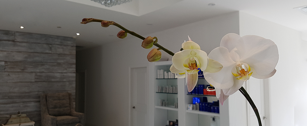 Revive Skin Clinic & Boutique | 1834 Lakeshore Rd W Unit #7, Mississauga, ON L5L 1J7, Canada | Phone: (905) 916-0905