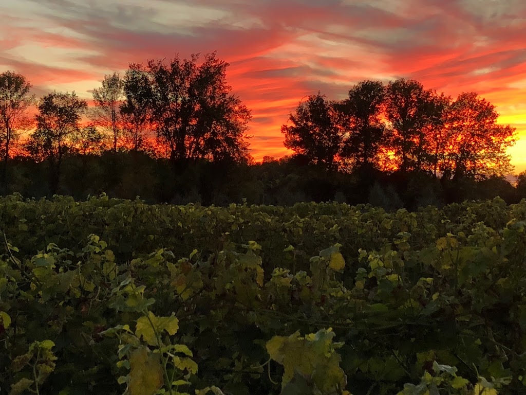 Domaine Des Salamandres | 196 Chemin de Covey Hill, Hemmingford, QC J0L 1H0, Canada | Phone: (450) 247-9000