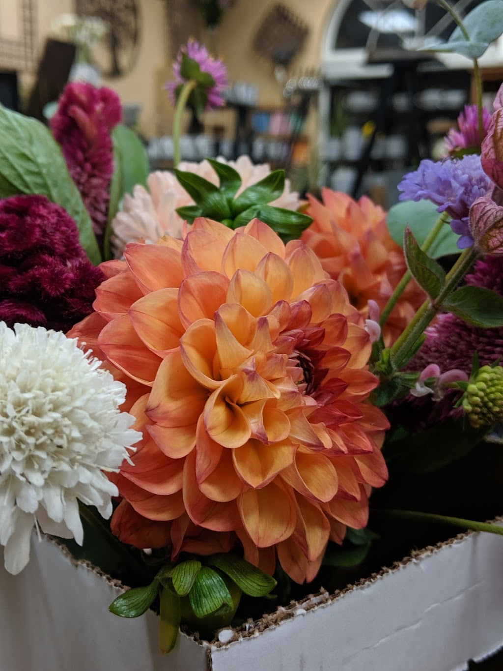 Kates Garden | 227 Main St N #3, Markham, ON L3P 1Y6, Canada | Phone: (905) 554-8899