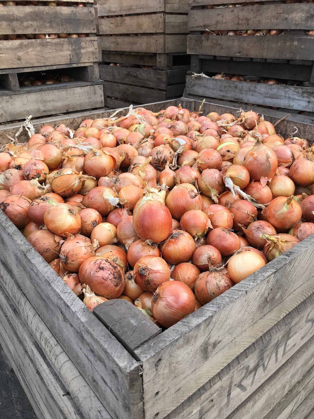 Fermes Farnham Ltee | 210 Rang Houde, Sainte-Sabine, QC J0J 2B0, Canada | Phone: (450) 293-6741