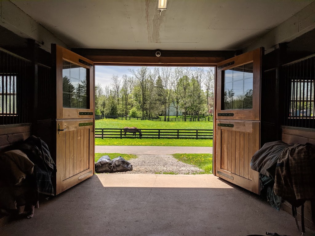 Shenandoah Equestrian Limited | 5503 Blind Line, Burlington, ON L7P 0B1, Canada | Phone: (905) 334-8814
