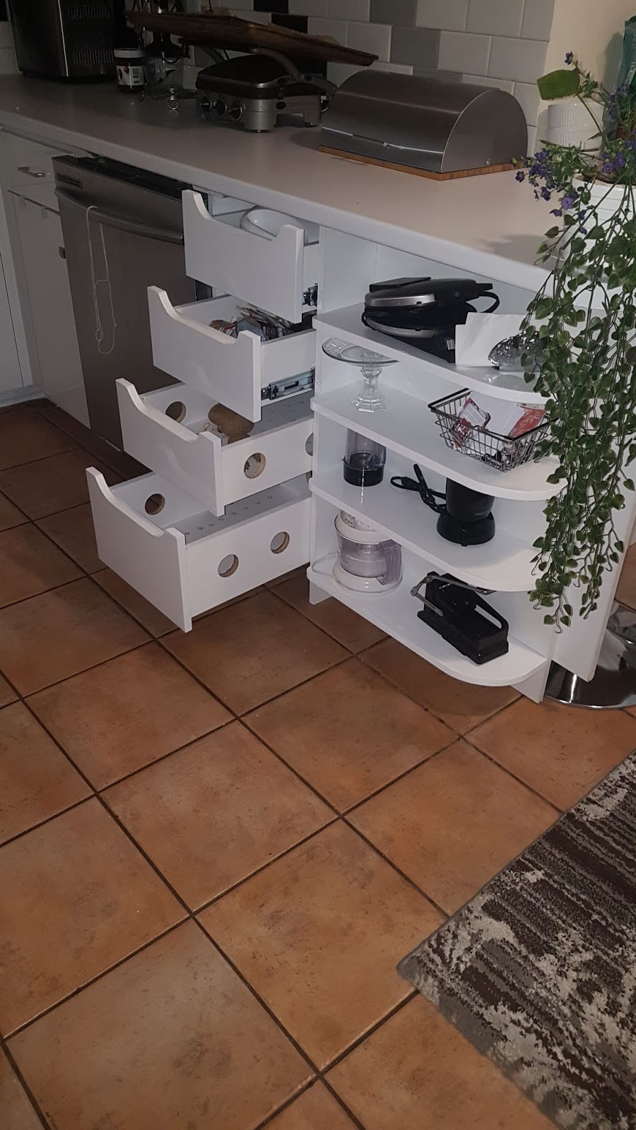 Yobo Coast Design and Solution | 54 Amos Ave, Waterloo, ON N2L 5G3, Canada | Phone: (437) 214-4647