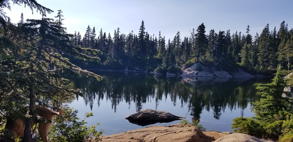 Cypress Provincial Park | West Vancouver, BC V0N 1G0, Canada | Phone: (604) 926-5612