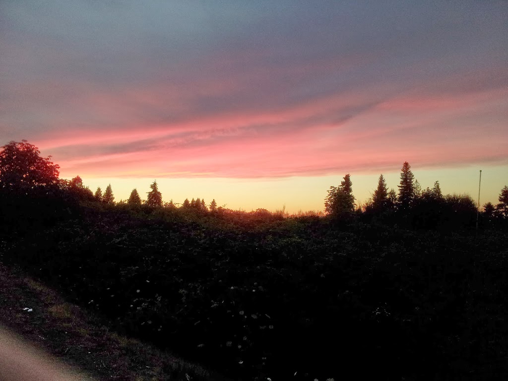 Woodview Bed and Breakfast | 2962 Roozendaal Rd, Cowichan Valley B, BC V0R 2W1, Canada | Phone: (250) 733-2000
