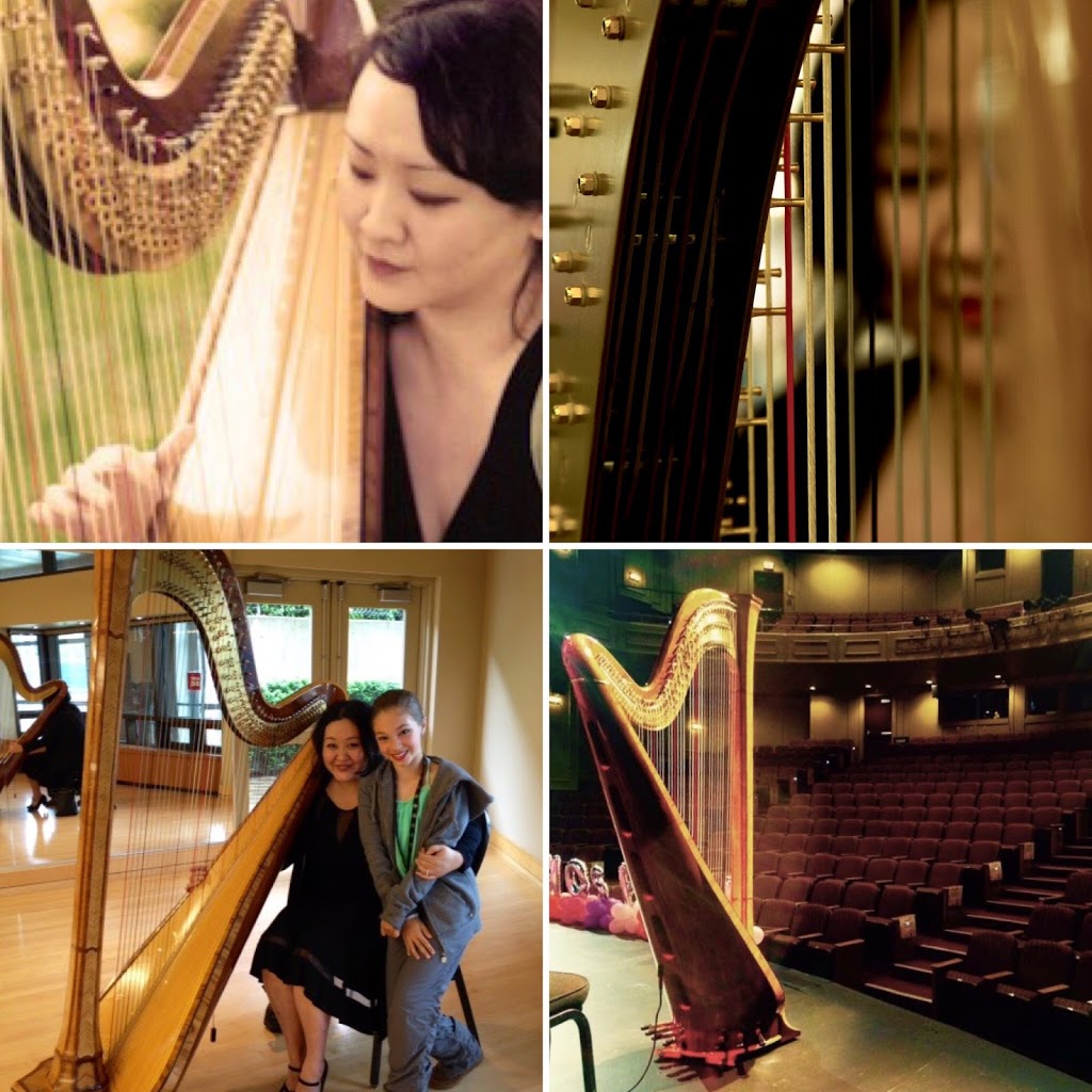 Vancouver Harp | 8091 Corless Pl, Richmond, BC V7C 4X4, Canada | Phone: (604) 773-5510