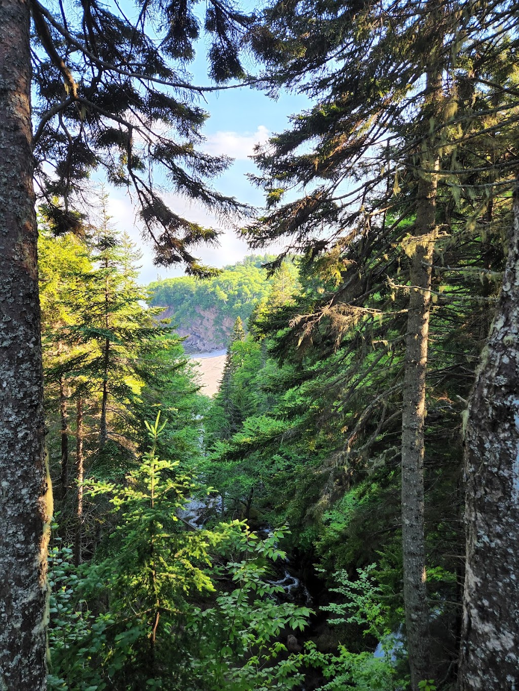 Fundy Trail Parkway | Saint Martins Parish, NB E5R, Canada | Phone: (866) 386-3987