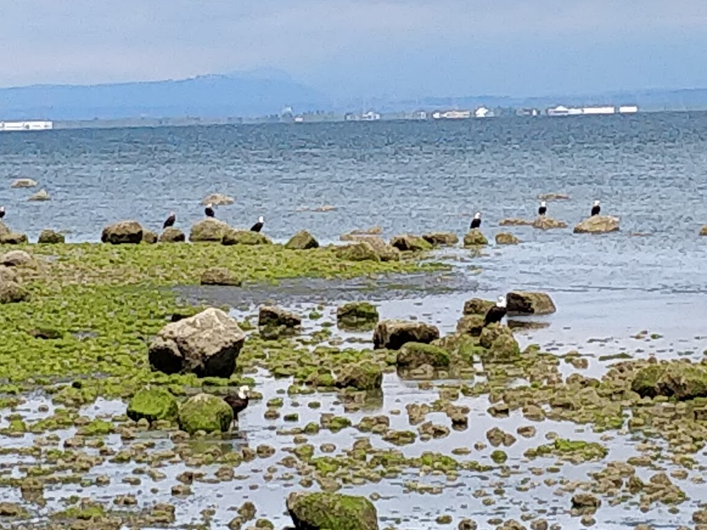 Beach Access Trail | Point Roberts, WA 98281, USA