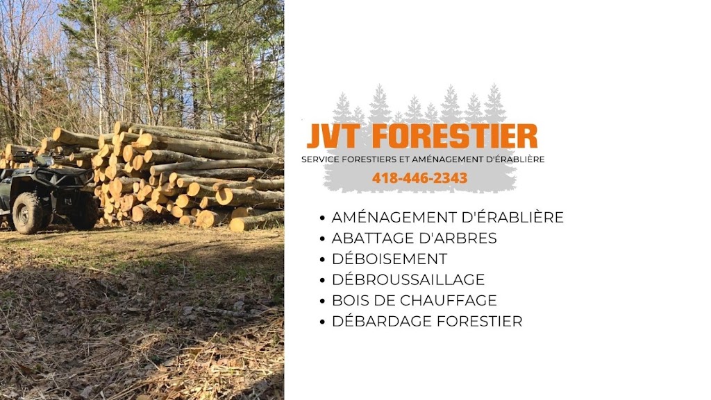 JVT Forestier | point of interest | 13 Rue des Bouleaux, Sainte-Christine-dAuvergne, QC G0A 1A0, Canada | 4184462343 OR +1 418-446-2343
