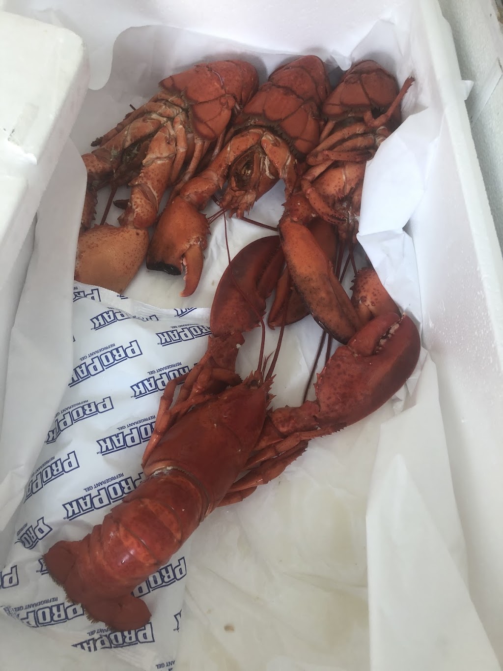 Harbour Seafood | 15 Gill St, Coldwater, ON L0K 1E0, Canada | Phone: (705) 543-0311