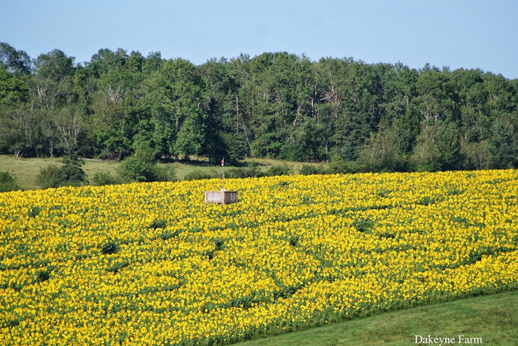 Dakeyne Farm | 1137 Nova Scotia Trunk 1, Falmouth, NS B0P 1L0, Canada | Phone: (902) 790-0542