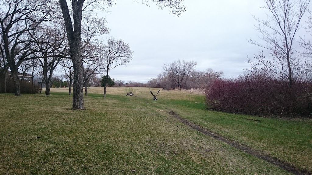 Peart Park | 2851 Ottawa St, Regina, SK S4P 2W8, Canada | Phone: (306) 777-7000