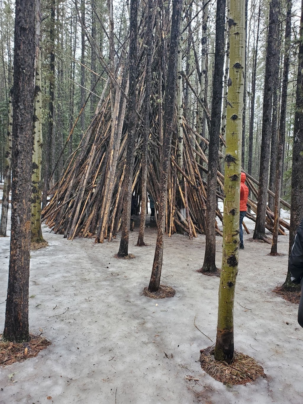 Nakiska Ski Area | 2 Mt Allan Dr, Kananaskis, AB T0L 2H0, Canada | Phone: (403) 591-7777