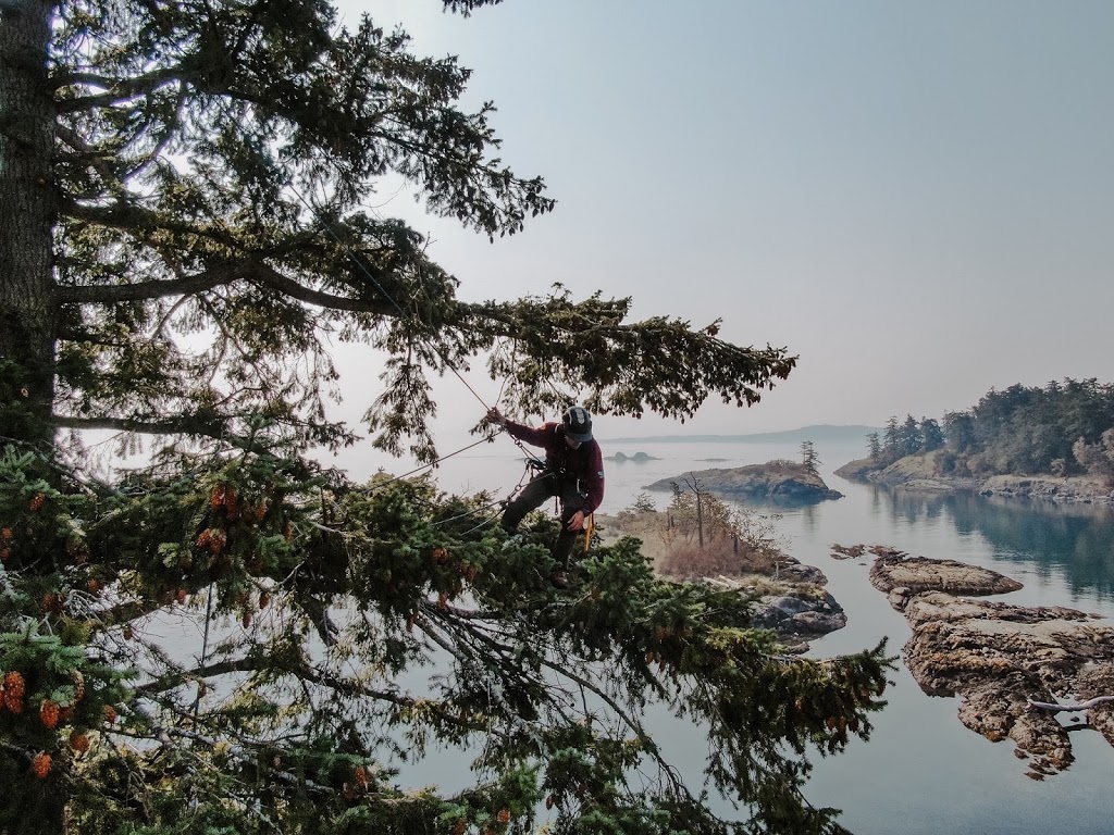 Osprey Tree Service | 558 Taylor Rd, Victoria, BC V9C 3Y7, Canada | Phone: (250) 474-7993