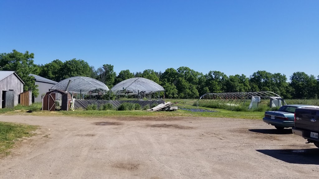 McSmiths Organic Farm | 42828 Shorlea Line, St Thomas, ON N5P 3T1, Canada | Phone: (519) 631-0279