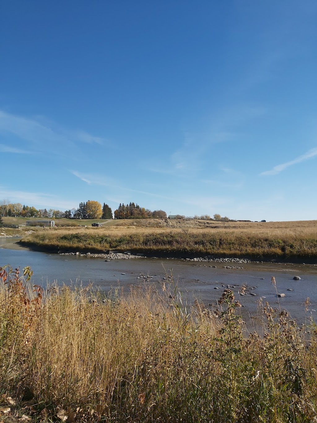 8 Flags Campground | 324 Railway St, Milk River, AB T0K 1M0, Canada | Phone: (403) 647-4282