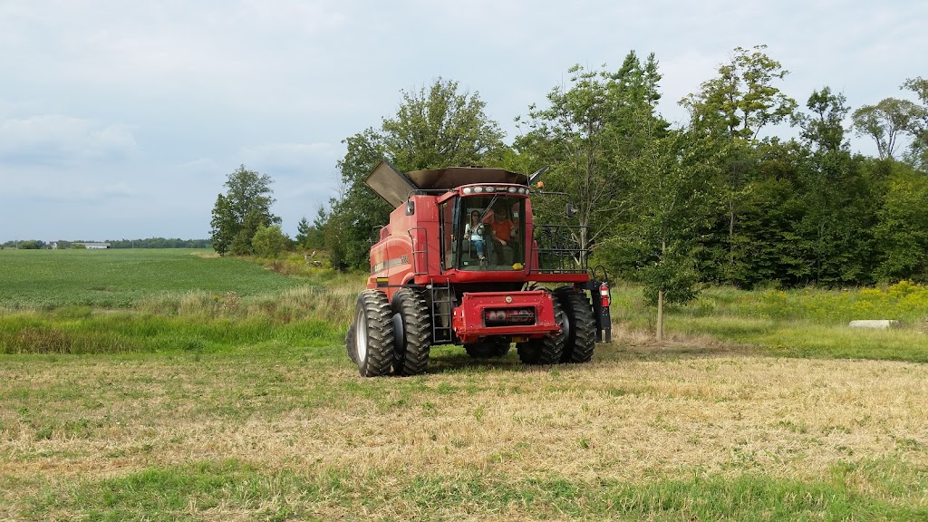 Turnbull Farms | 440 Turnbull Rd, Canfield, ON N0A 1C0, Canada | Phone: (289) 339-7303