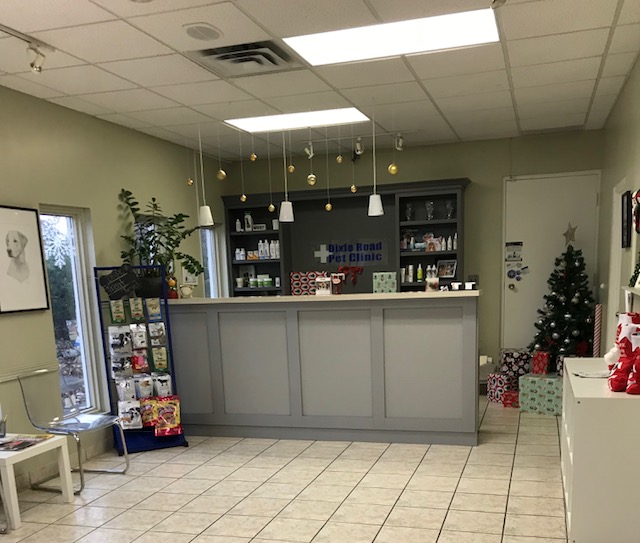 Dixie Road Pet Clinic | veterinary care | 10078 Dixie Rd, Brampton, ON L6R 0B1, Canada | 9057923456 OR +1 905-792-3456
