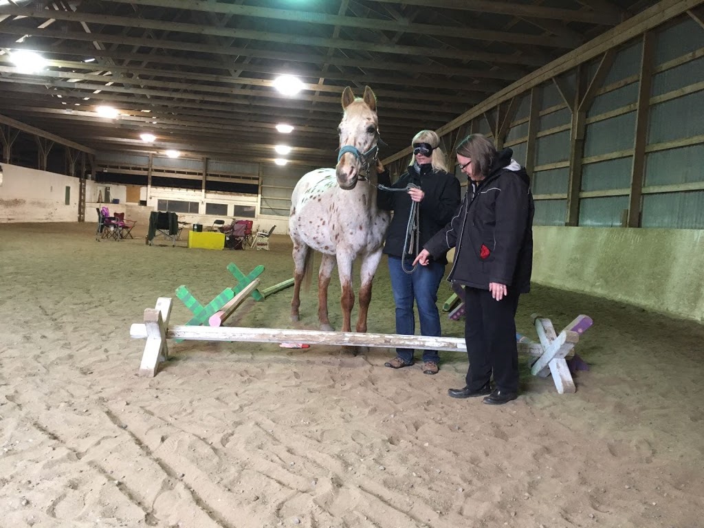 Horse Therapy Centre of Canada | 246 Webb Rd, Whitchurch-Stouffville, ON L4A 7X4, Canada | Phone: (647) 390-5397