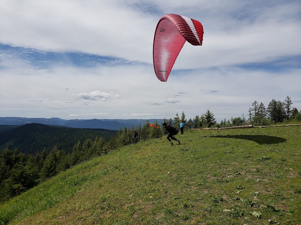 Freedom Flight Park | 249 Lumby-Mabel Lake Rd, Lumby, BC V0E 2G5, Canada | Phone: (250) 891-4447