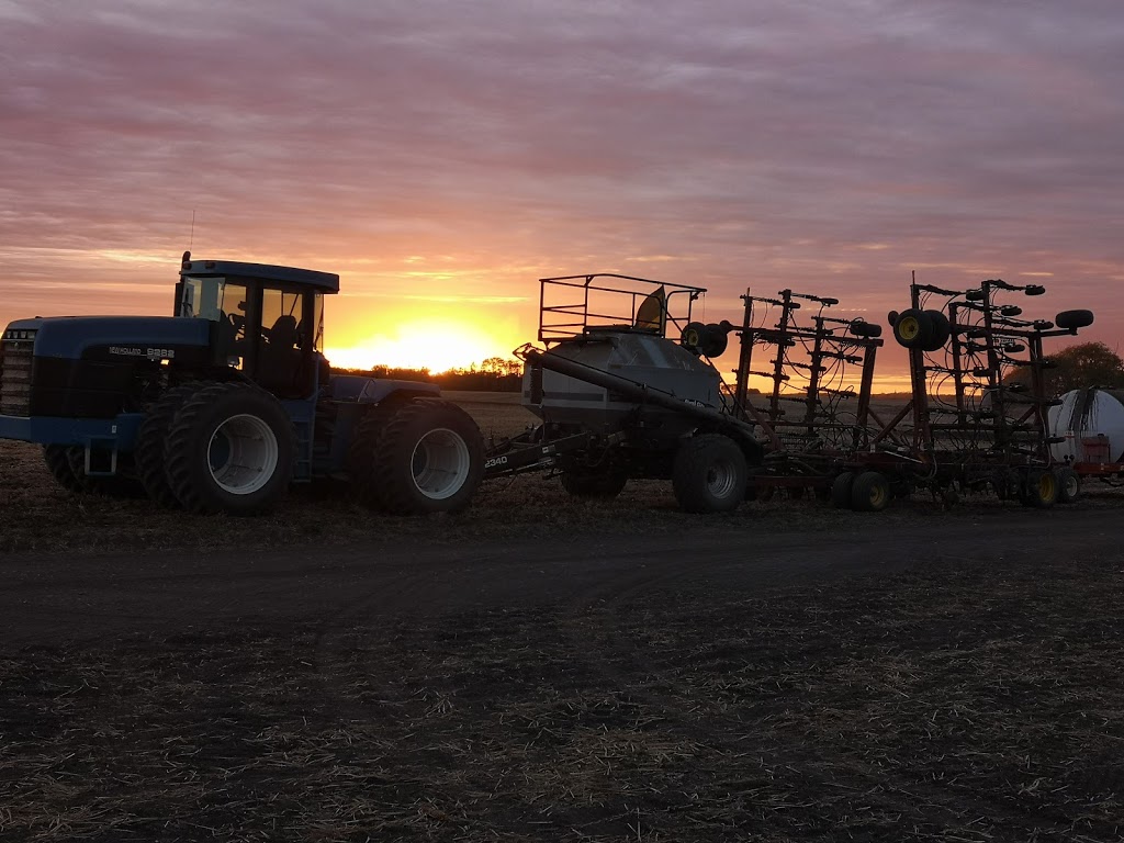 Morgans Hog Haven | Unnamed Road, Prince Albert No. 461, SK S6V 2W9, Canada | Phone: (306) 922-8387
