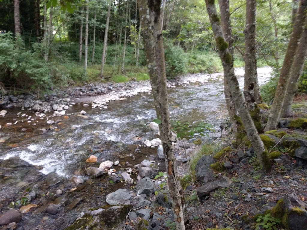 Creekside Camping | 39602 Baker Lake Rd, Concrete, WA 98237, USA | Phone: (360) 826-3566