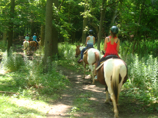 Horseshoe J Dude Ranch - Summer Camps, Lessons, Public trail rid | 32553 Erin Line, Fingal, ON N0L 1K0, Canada | Phone: (519) 762-5402