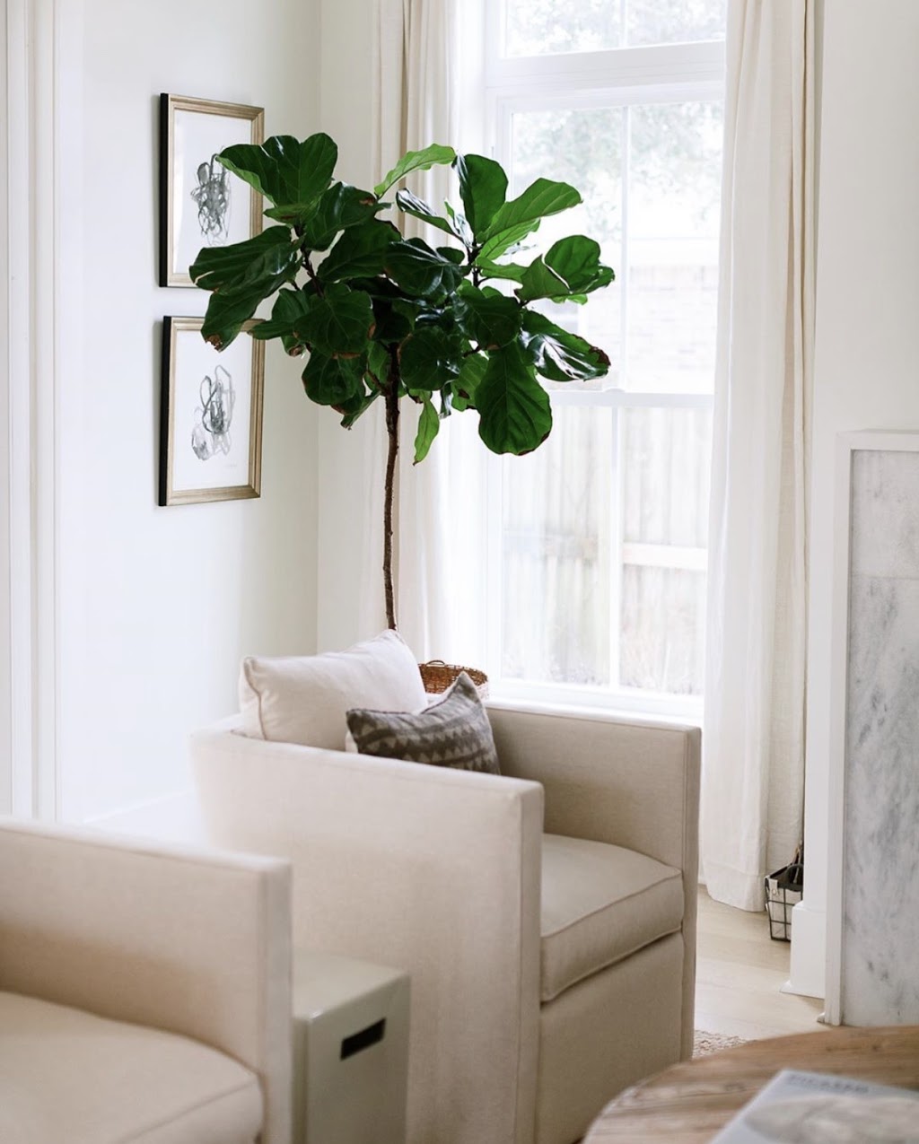Candace Plotz Design | 690 Stewart St, Renfrew, ON K7V 1Y6, Canada | Phone: (613) 432-2323