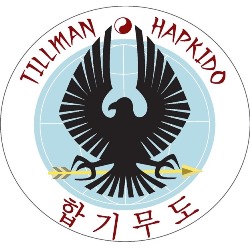 Tillman Hapkido | 11950 Country Village Link NE, Calgary, AB T3K 6E3, Canada | Phone: (587) 968-1812