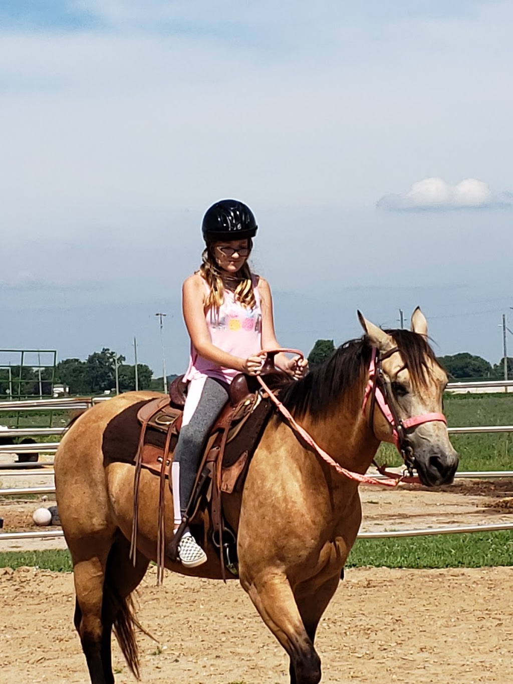 Sarah Parks Horsemanship | 7150 Essex County Rd 20, Amherstburg, ON N9V 0C8, Canada | Phone: (519) 984-4247