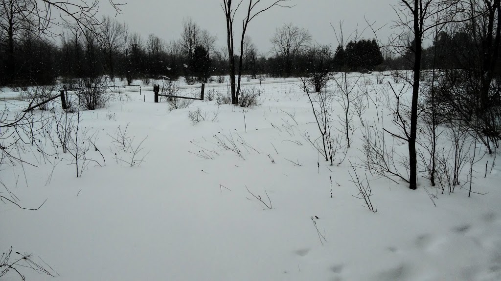 NCC Greenbelt P4 | Timm Dr, Ottawa, ON K2L 4G2, Canada
