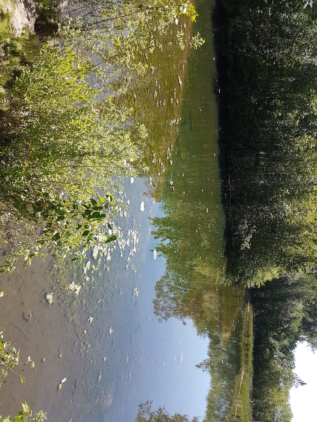 North Creek Duck Pond | 18590 70 Ave, Surrey, BC V4N 6B6, Canada