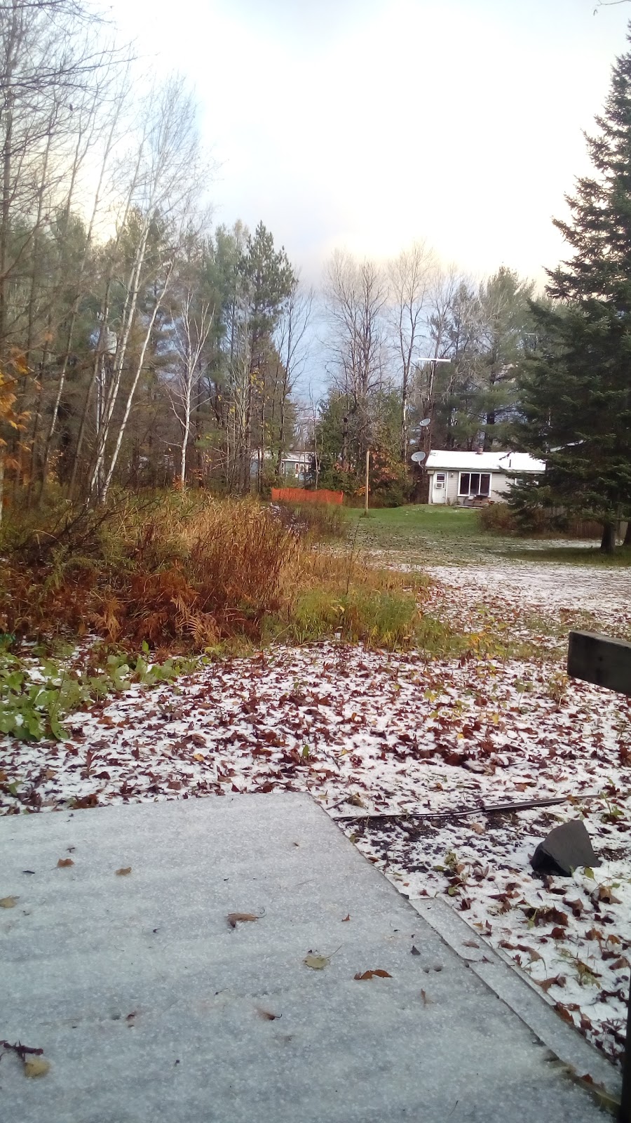 Sherwood Forest Motel | 1346 Lake Joseph Rd, Parry Sound, ON P2A 2W8, Canada | Phone: (705) 378-2848