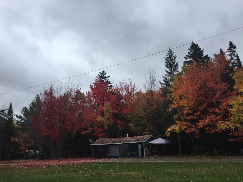 Enclosure Campground | 8 Enclosure Rd, Derby Junction, NB E1V 5B2, Canada | Phone: (506) 622-8638
