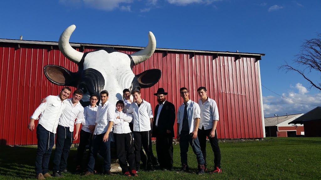 Yeshivas Menachem Buffalo | 411 John James Audubon Pkwy, Buffalo, NY 14221, USA | Phone: (716) 568-0121