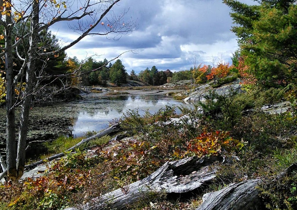 Sheffield Conservation Area | Stone Mills, ON K0K 2A0, Canada | Phone: (613) 968-3434