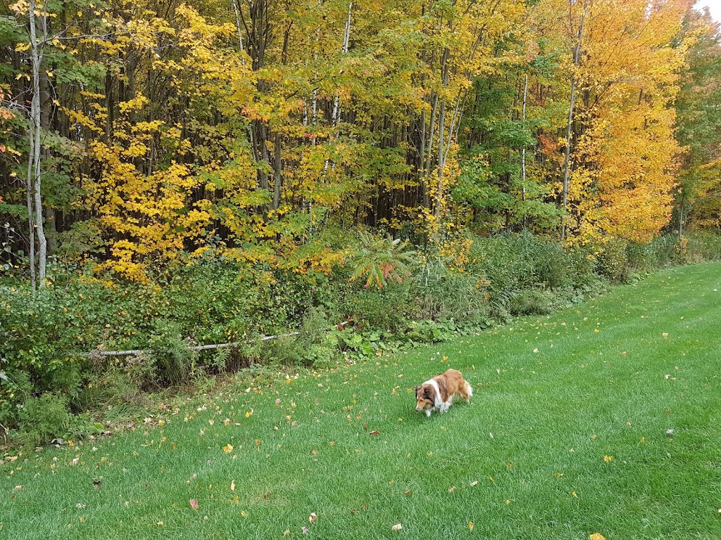 Parc Henri-Martin | 241 Rue Dureault, Granby, QC J2J 2Z7, Canada | Phone: (450) 776-8282