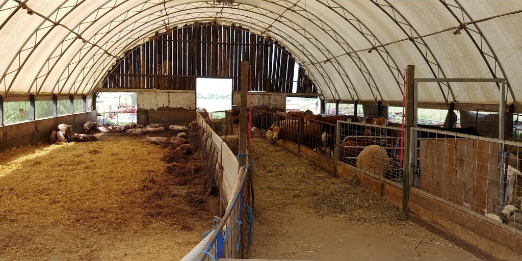 Thatcher FARMS | 5727 5th Line, Guelph/Eramosa, ON N0B 2K0, Canada
