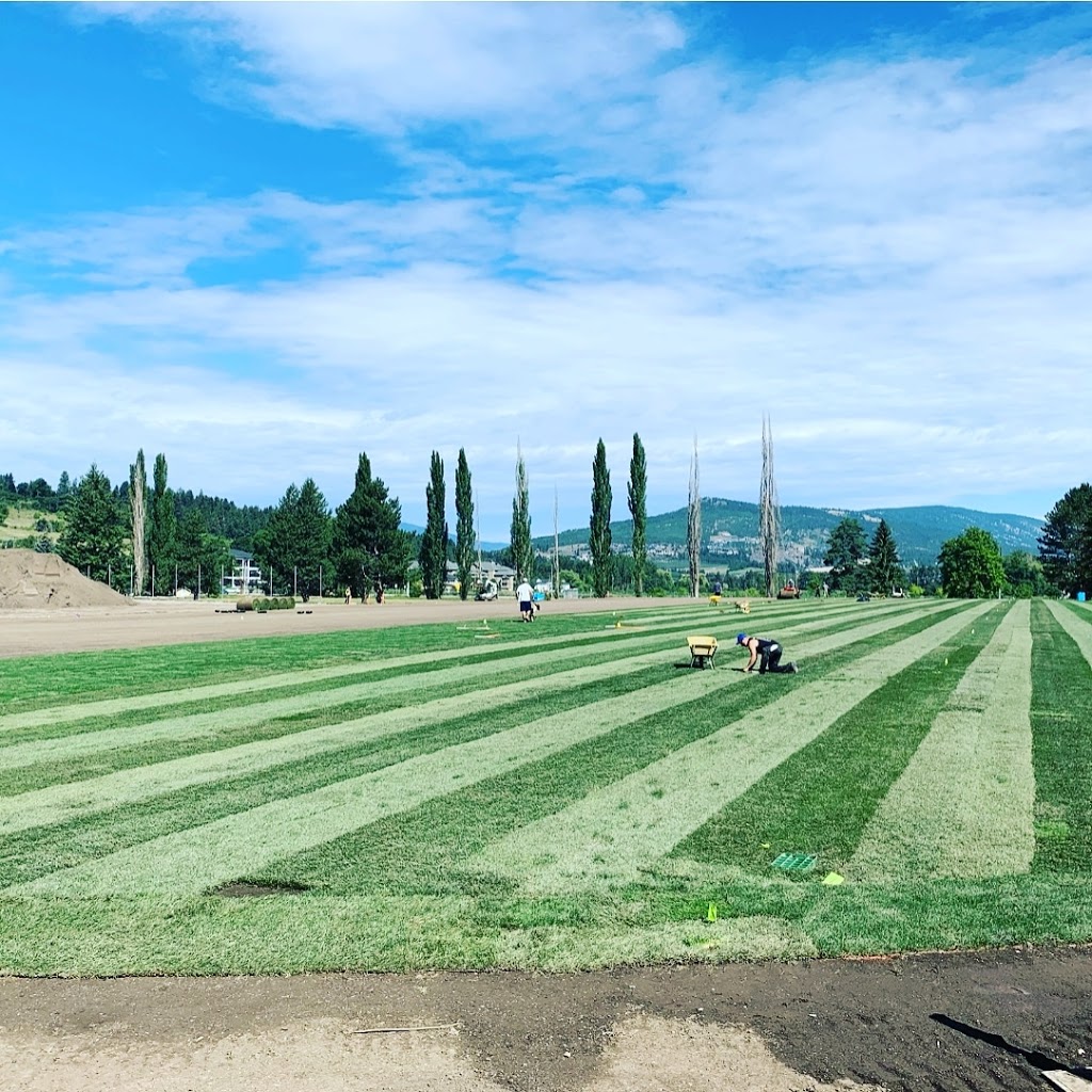 Western Turf Farms Ltd | 39183 No 5 Rd, Abbotsford, BC V3G 2G3, Canada | Phone: (604) 850-6660