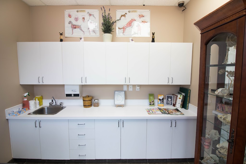 Animal Hospital of Manitoba | 995 Main St, Winnipeg, MB R2W 3P8, Canada | Phone: (204) 586-3334