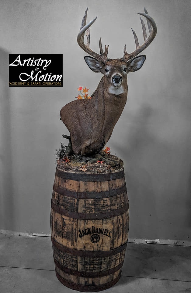 Artistry In Motion Taxidermy- Canadas Largest Taxidermy Studio | 347 Durham Regional Rd 8, Uxbridge, ON L9P 1R1, Canada | Phone: (905) 852-1119