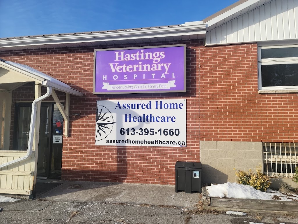 Assured Home Health Care | 234 North St, Stirling, ON K0K 3E0, Canada | Phone: (613) 395-1660
