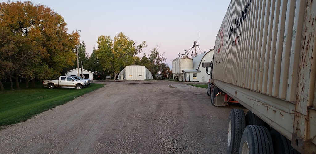 Remillard Seed Farm | Rd 2 E, Manitoba R0G, Canada, Canada | Phone: (204) 324-4106