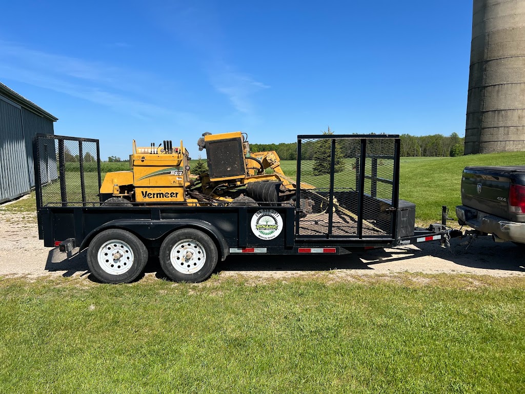 Dynamic Stump Grinding | 9 Dietz St, Mildmay, ON N0G 2J0, Canada | Phone: (204) 939-3371