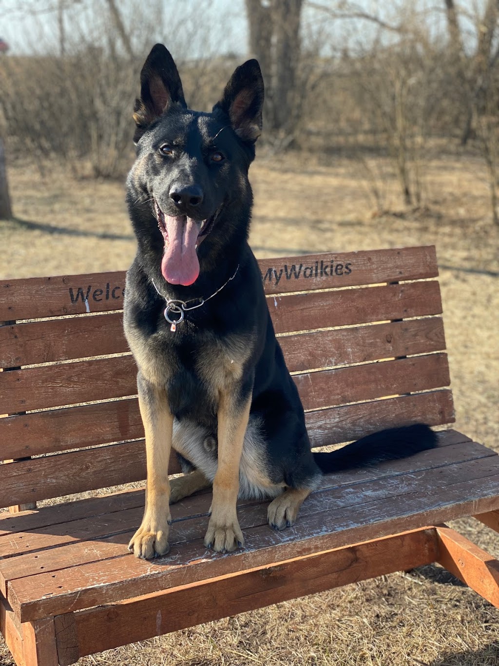 MyWalkies | 17 Dunbow Rd W, De Winton, AB T0L 0X0, Canada | Phone: (403) 921-4415