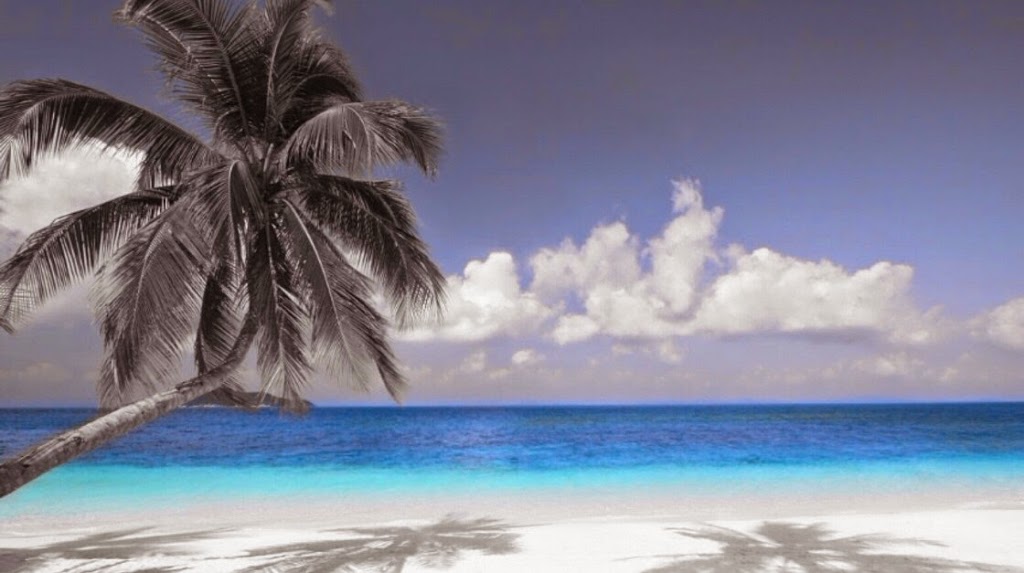Playa Del Sol Travel | 326 Kingsbury View, Airdrie, AB T4A 0E7, Canada | Phone: (403) 796-9556